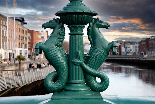 Grattan-Bridge-Seahorses